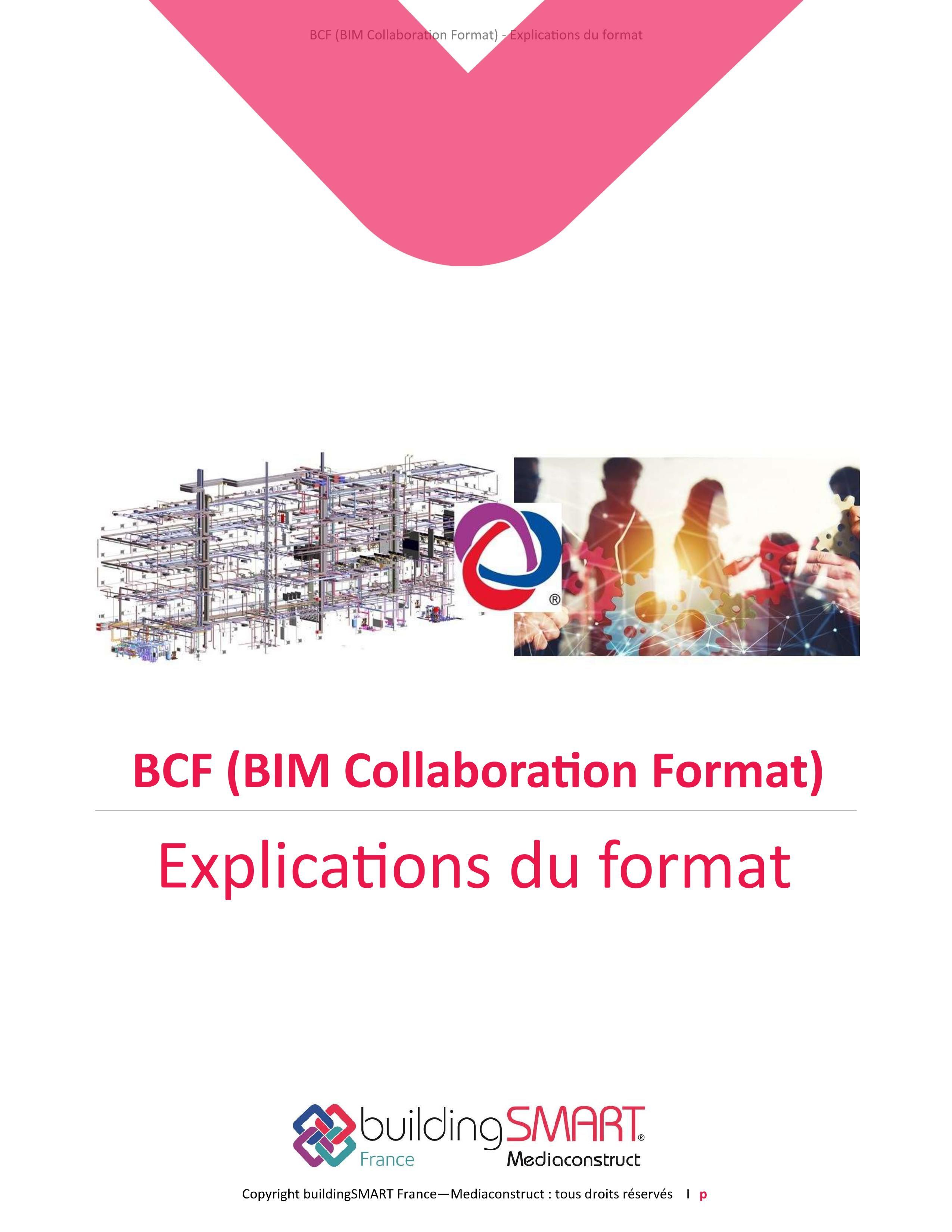 BCF-Explications-du-format-bSFrance-2023-1.jpg