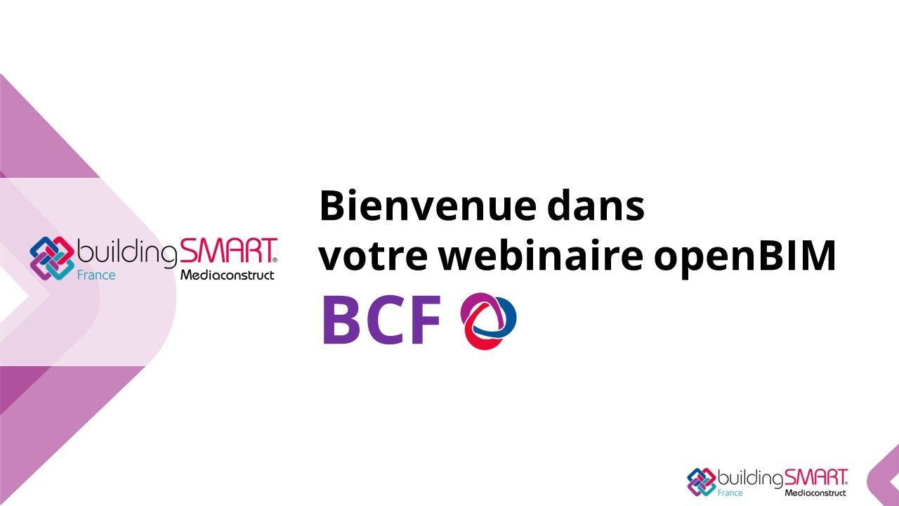Webinaire Membre - GT BCF.jpg